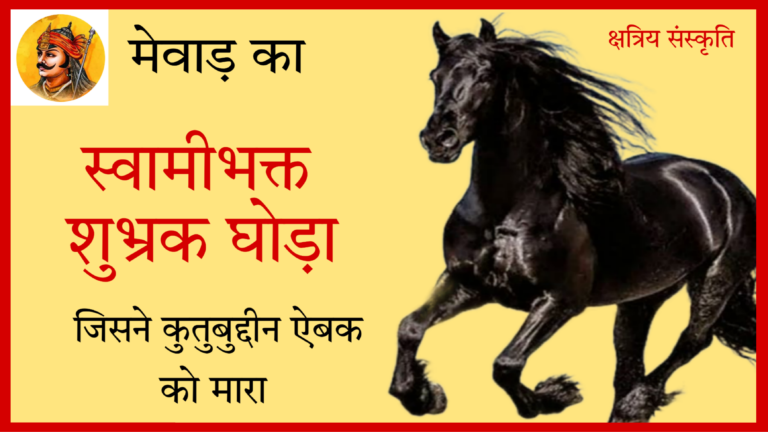 स्वामिभक्त शुभ्रक घोड़ा – जिसने कुतुबुद्दीन ऐबक को मारा