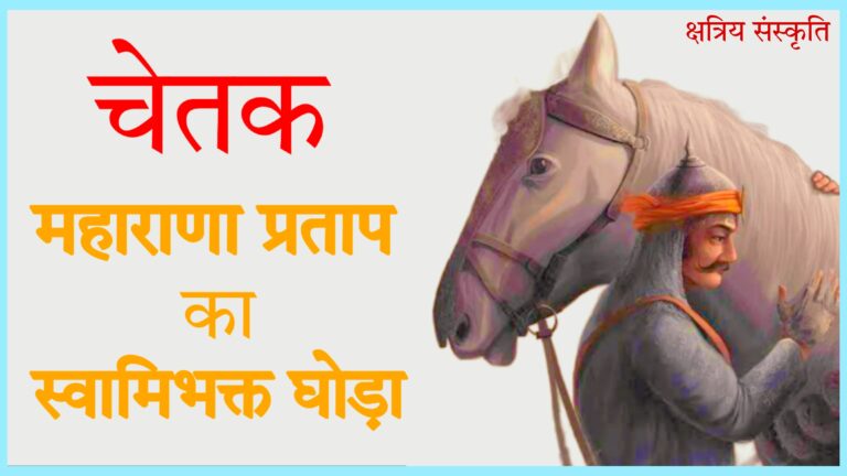 चेतक घोड़ा